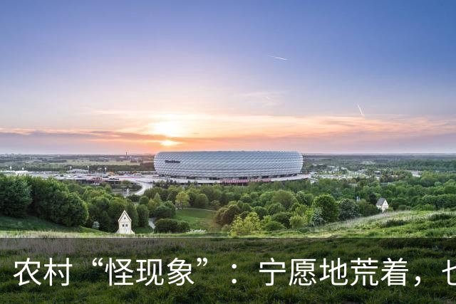 农村“怪现象”：宁愿地荒着，也不种粮食，把专家气够呛，咋回事