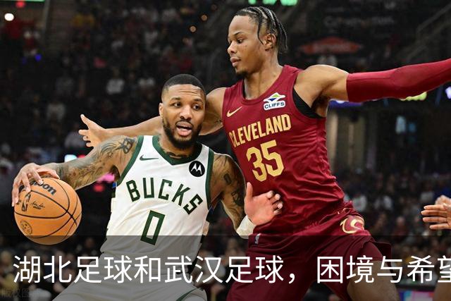 湖北足球&武汉足球，困境与希望并存
