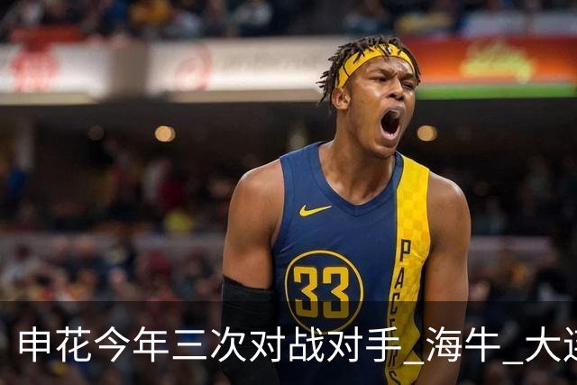 申花今年三次对战对手 海牛 大连 町田 输得最痛心 还得是足协杯8强赛