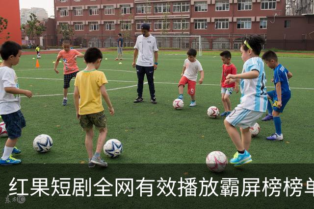 红果短剧全网有效播放霸屏榜榜单，第一名播放量3.26亿，位列榜首