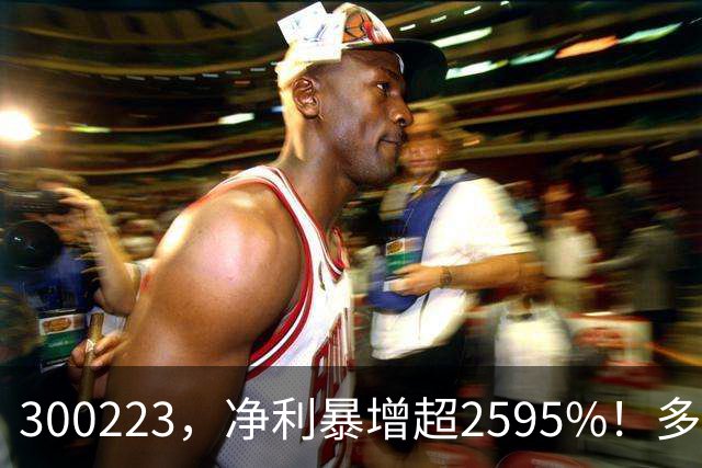 300223，净利暴增超2595%！多家A股公司业绩爆发